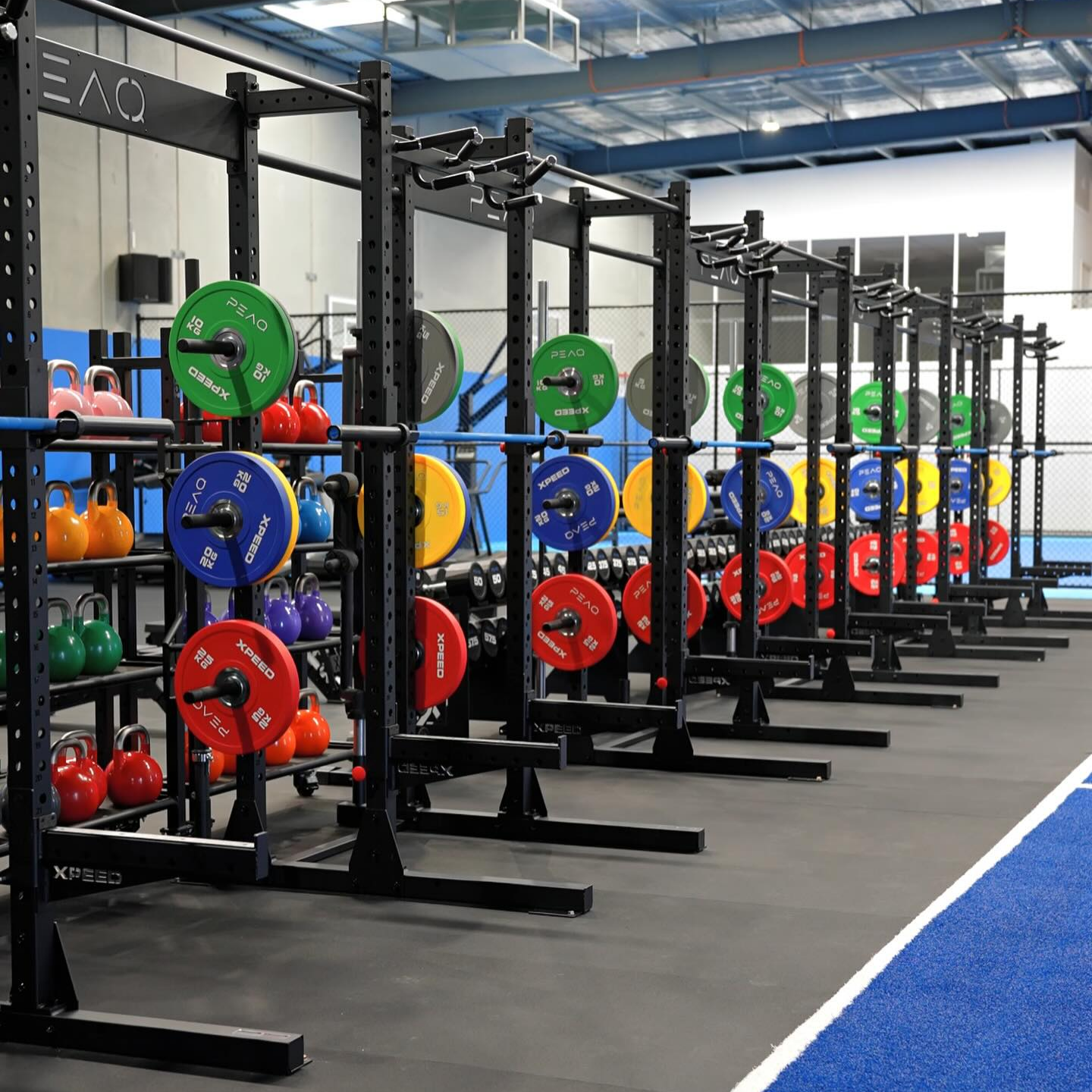 The line up of Xpeed Alpha Half Rack XL's inside PEAQ Performance, Adelaide, South Australia.