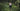 woman_hiking_in_woods
