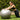 female using an xpeed gym ball for core exercises
