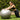 female using an xpeed gym ball for core exercises