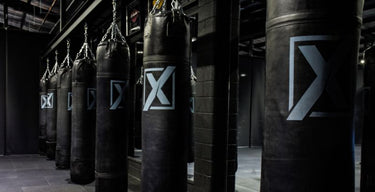 Punching bags and balls available at Xpeed Fitness
